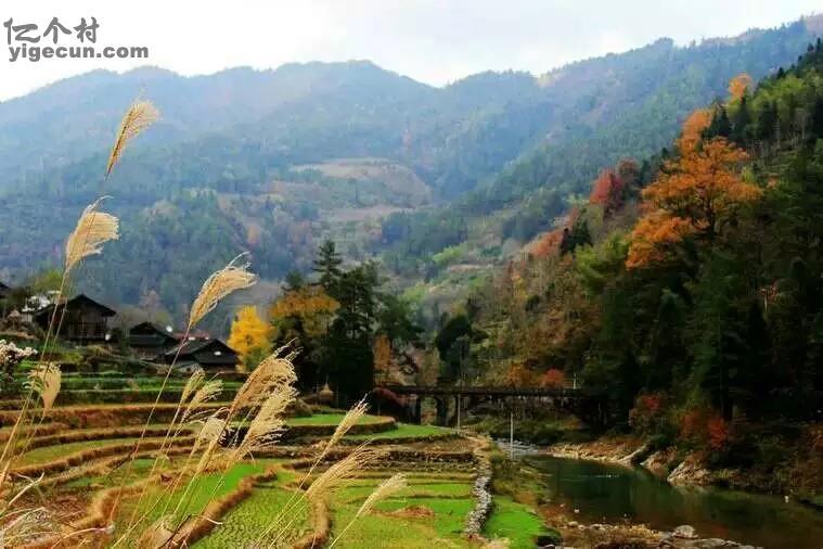 广西桂林市龙胜县伟江乡洋湾村图片