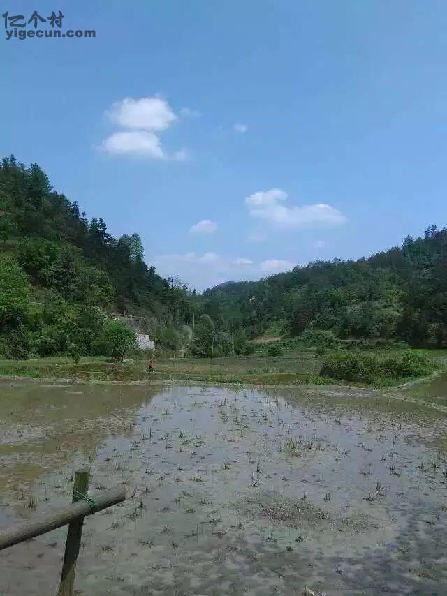 湖南省张家界市桑植县沙塔坪乡尼古田村图片