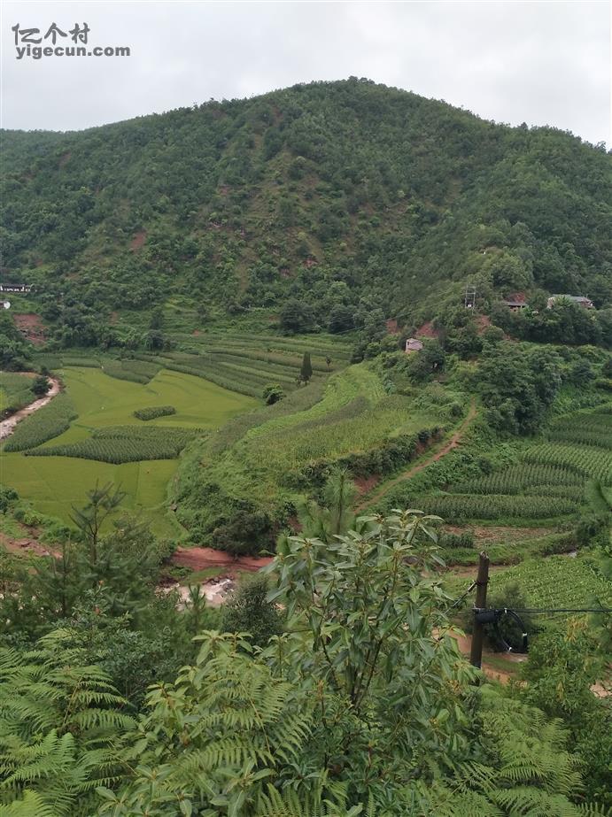 云南省楚雄州禄丰县高峰乡山河村图片