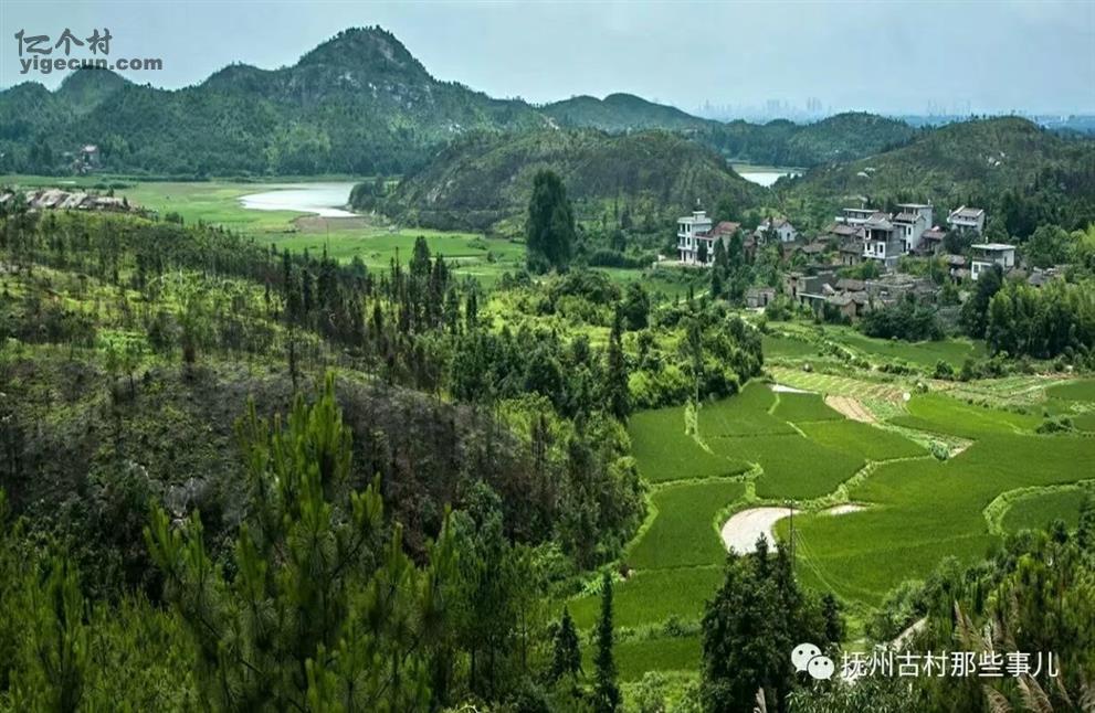 江西省抚州市临川区七里岗乡菩峰村图片