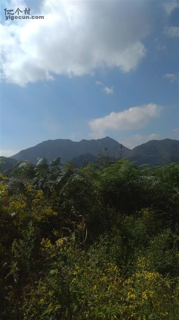 贵州省毕节市赫章县六曲河镇海眉村图片