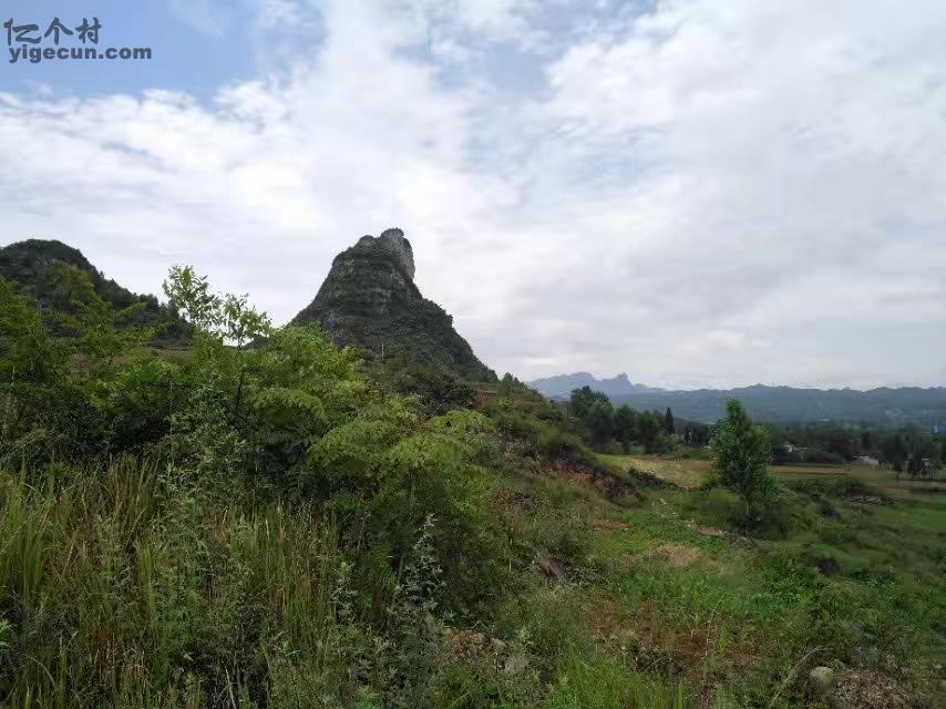 青林村图片