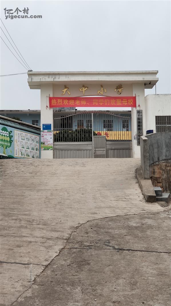 广西贵港市桂平市油麻镇大中村图片