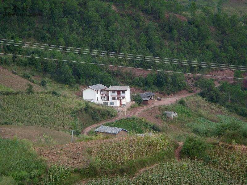 重庆市忠县白石镇万板村图片