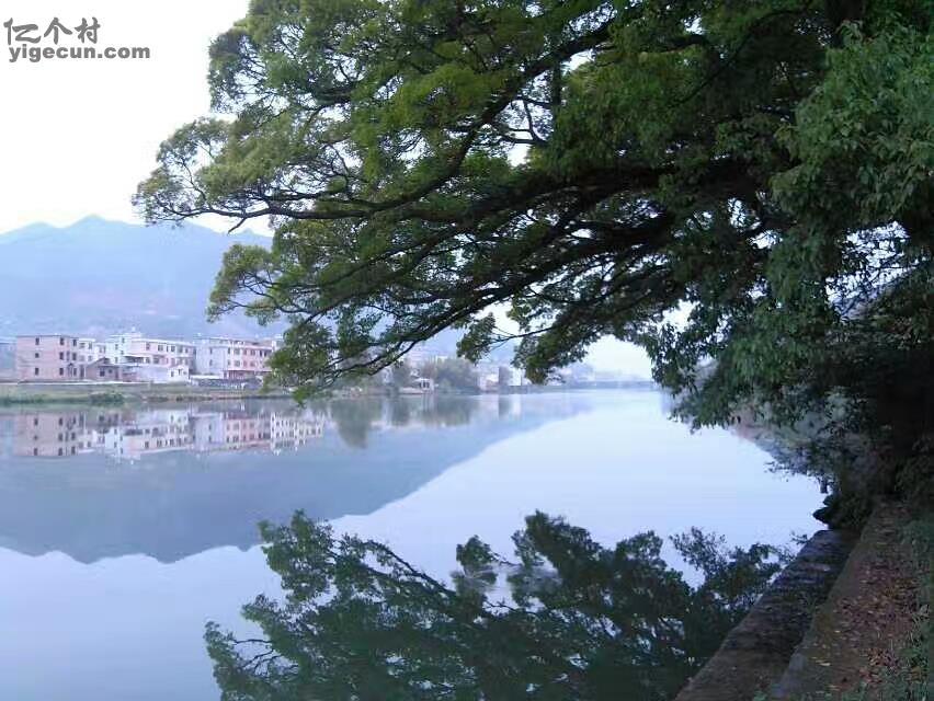 福建省龙岩市上杭县旧县镇角龙村图片