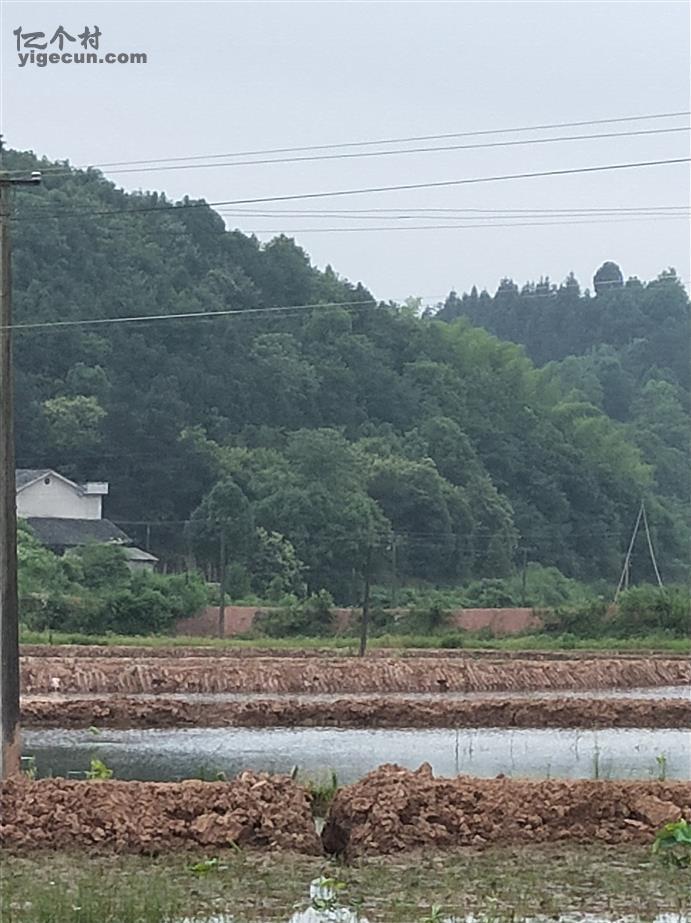 湖南省湘潭市湘潭县花石镇罗汉村图片