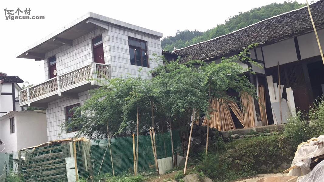 贵州省遵义市绥阳县青杠塘镇野茶村图片
