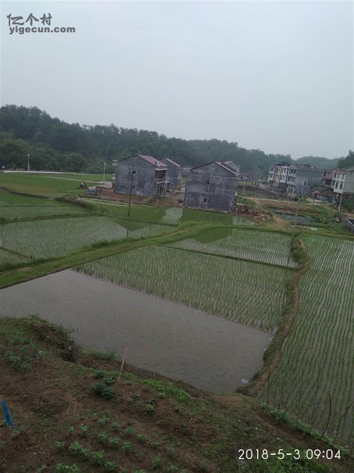 湖南省株洲市茶陵县马江镇浪滩村图片