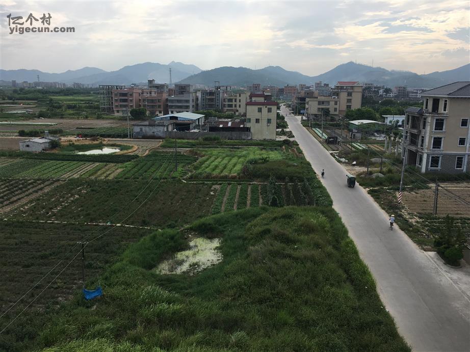 广东省揭阳市普宁市南径镇青洋村图片