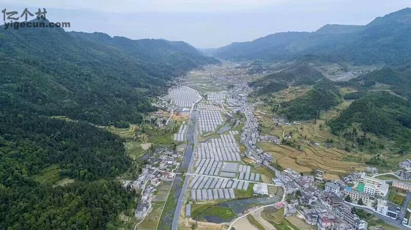 贵州省毕节市金沙县岩孔镇箐口村图片