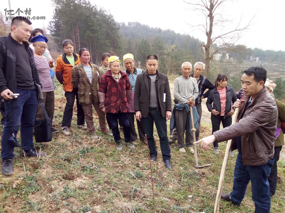 贵州省铜仁市沿河县土地坳镇堆山村图片