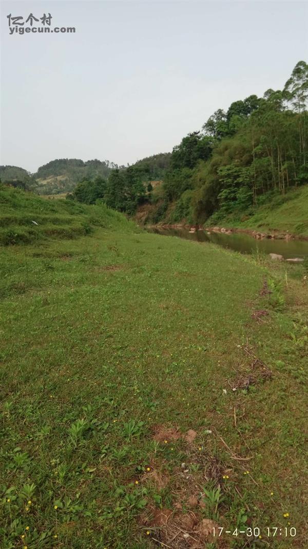 重庆市渝北区大湾镇风龙村图片