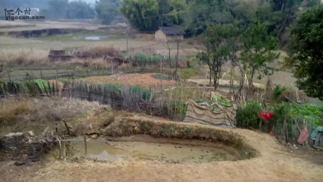 坪田村图片_广东省河源市龙川县佗城镇坪田村