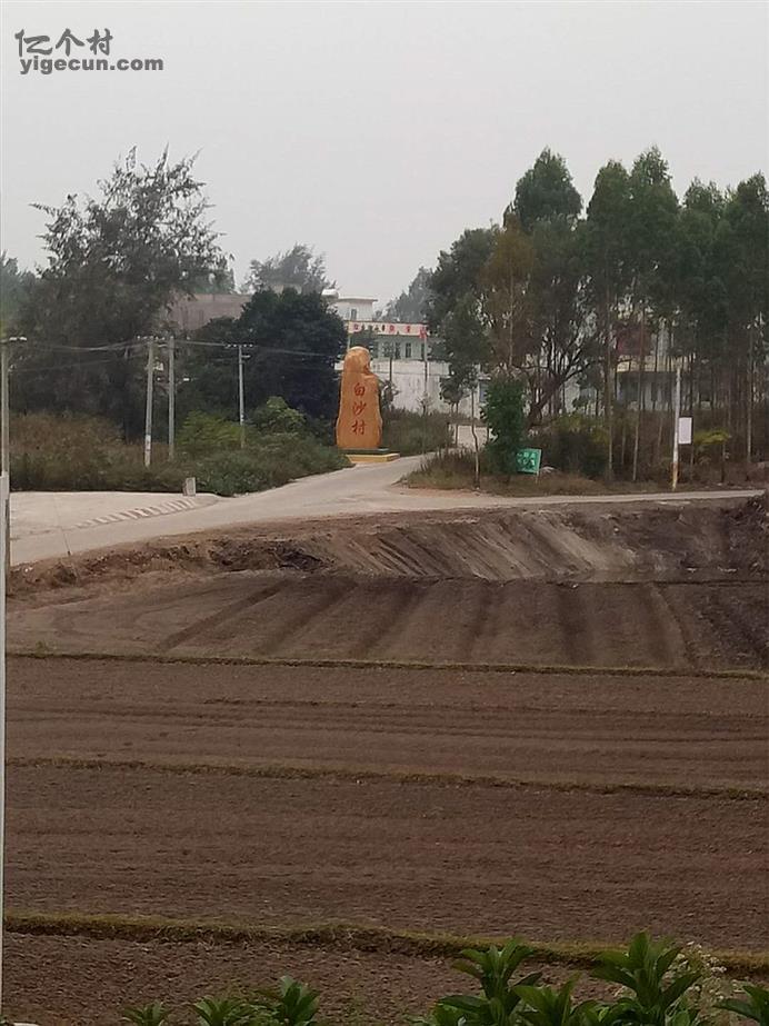 广东省湛江市廉江市营仔镇白沙村图片