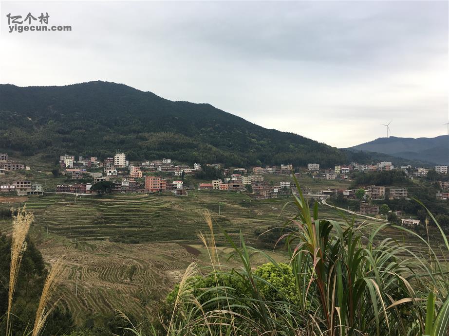 福建省莆田市仙游县龙华镇金山村图片