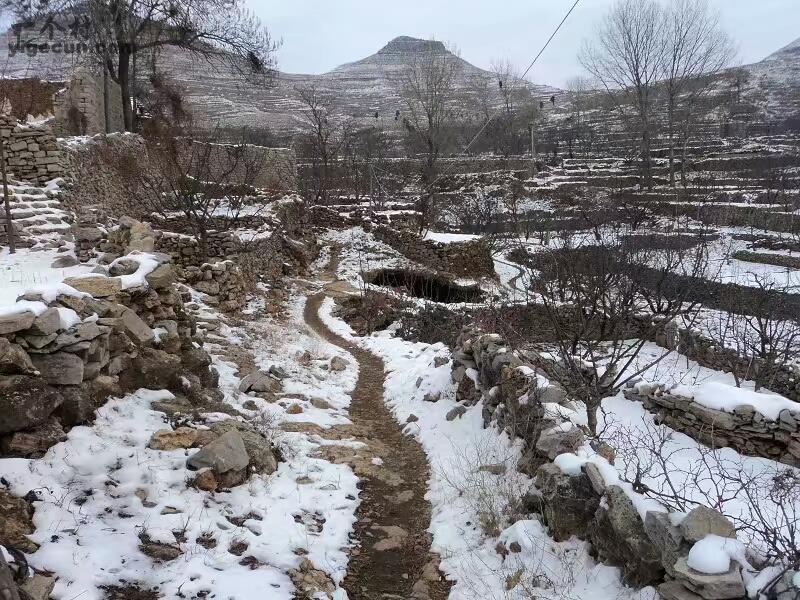 山东省枣庄市山亭区冯卯镇寺沟村图片