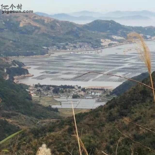福建省宁德市福鼎市沙埕镇王谷村图片