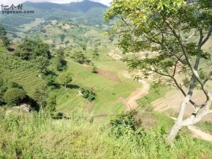 云南省红河州元阳县上新城乡同春山村图片