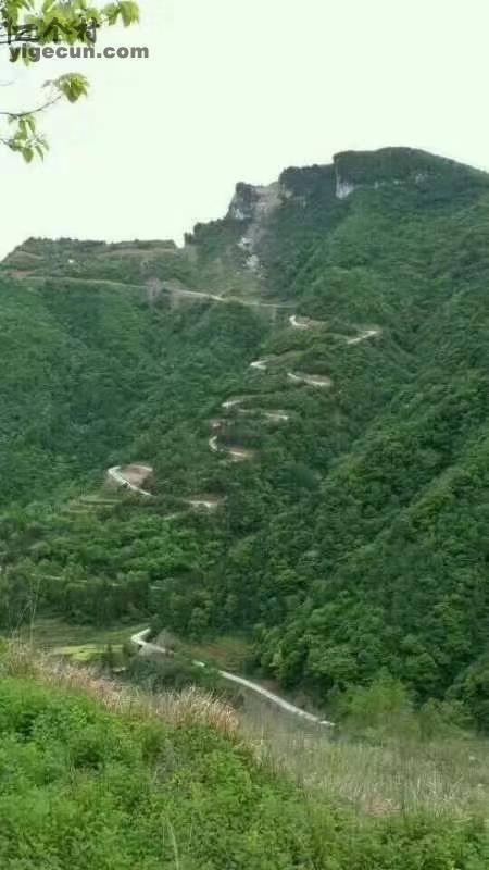 图片_四川省广元市旺苍县双汇镇莲花村