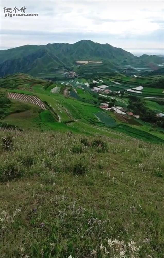 清水沟村