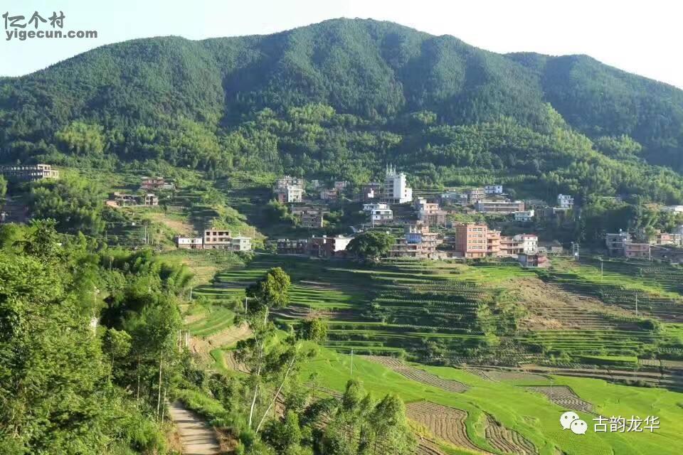 福建省莆田市仙游县龙华镇金山村图片