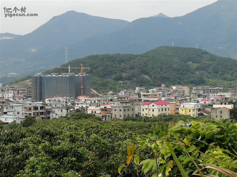 福建省莆田市城厢区华亭镇后枫村图片