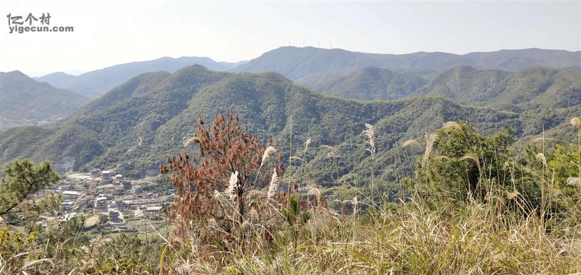 福建省泉州市南安市官桥镇九溪村图片