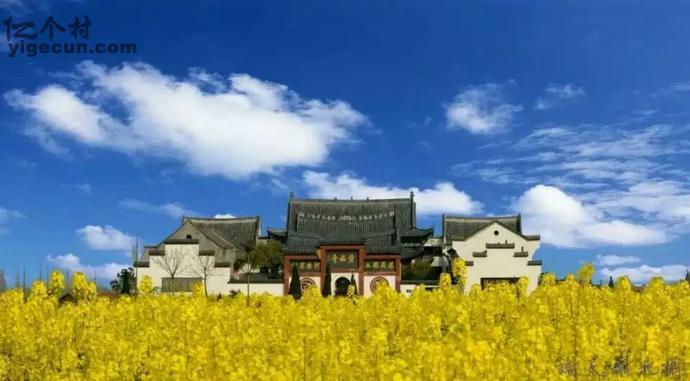 曹市村图片_湖北省荆州市江陵县滩桥镇曹市村