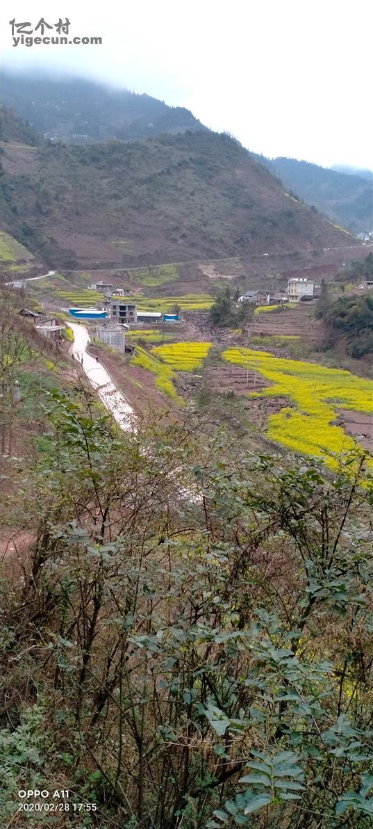 云南省昭通市彝良县洛旺乡中厂村图片