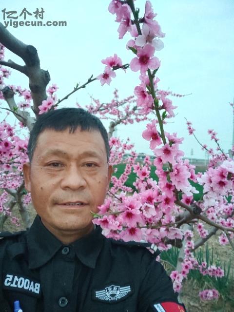 陕西省咸阳市泾阳县三渠镇杨梧村图片