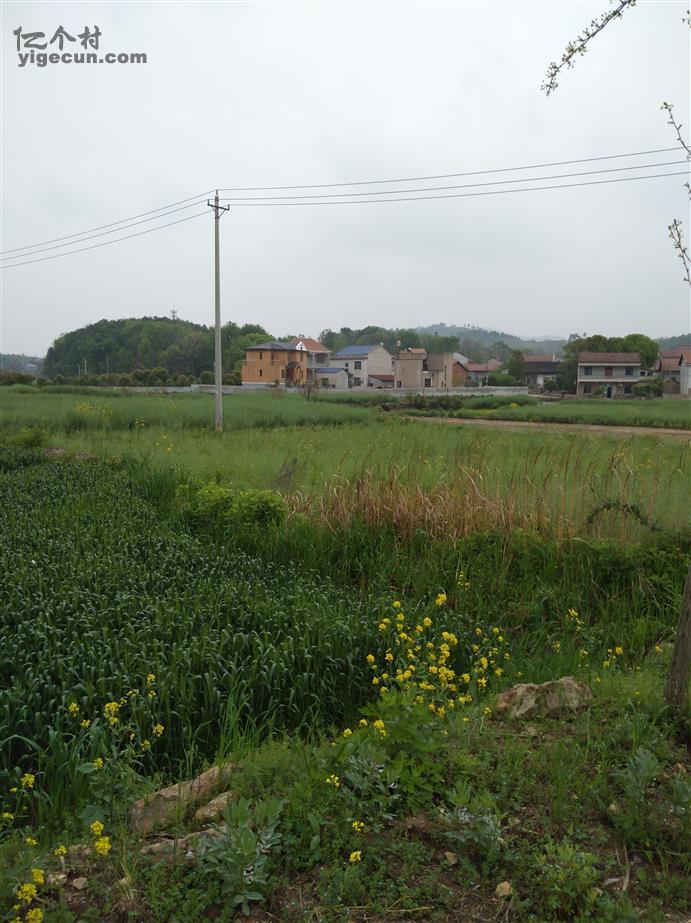 湖北省鄂州市梁子湖区沼山镇沼山村图片