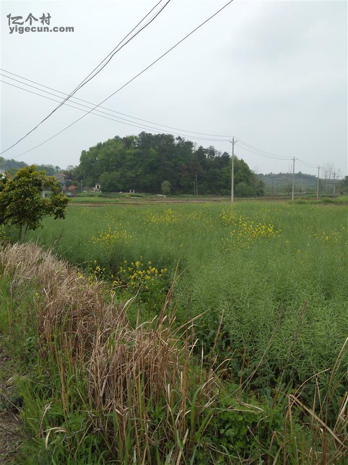 湖北省鄂州市梁子湖区沼山镇沼山村图片