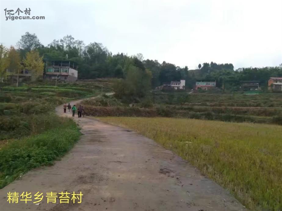 图片_重庆市忠县新立镇精华村