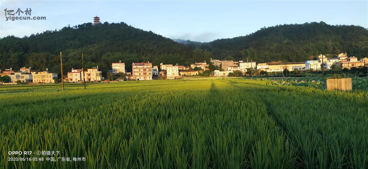 广东省梅州市兴宁市罗浮镇澄联村图片