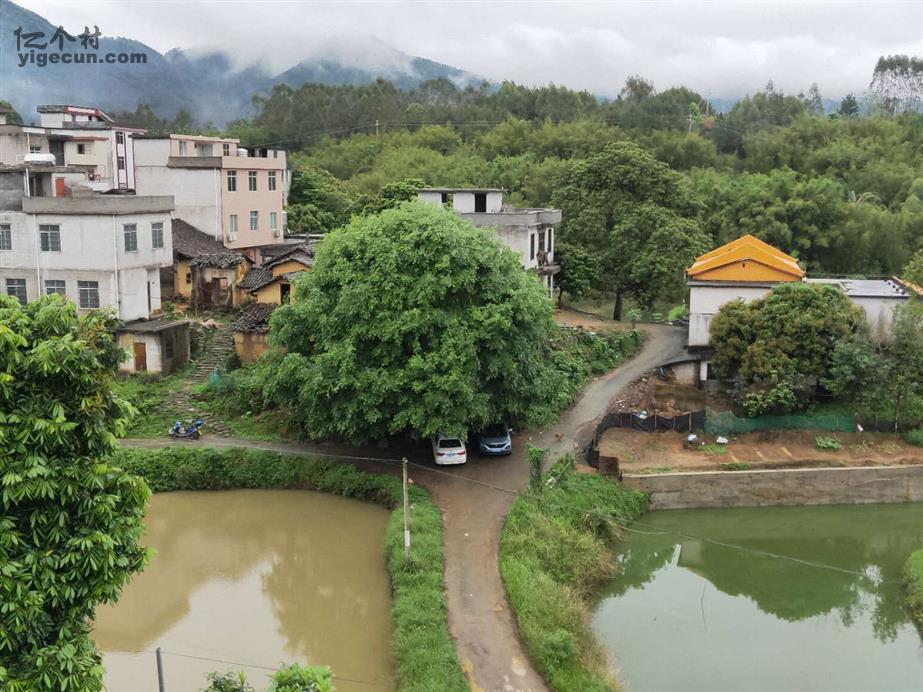 图片_广西梧州市藤县古龙镇忠隆村
