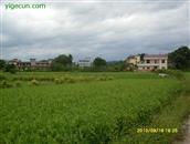 江西省,吉安市,万安县,潞田镇,邹江村