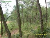 江西省,吉安市,万安县,潞田镇,邹江村