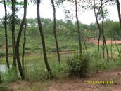 江西省,吉安市,万安县,潞田镇,邹江村