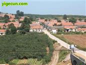 山东省,烟台市,招远市,金岭镇,古宅村