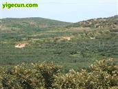 山东省,烟台市,招远市,金岭镇,古宅村