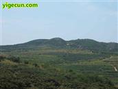 山东省,烟台市,招远市,金岭镇,古宅村