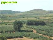 山东省,烟台市,招远市,金岭镇,古宅村