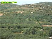 山东省,烟台市,招远市,金岭镇,古宅村