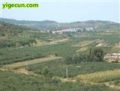 山东省,烟台市,招远市,金岭镇,古宅村