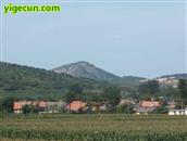 山东省,烟台市,招远市,金岭镇,古宅村