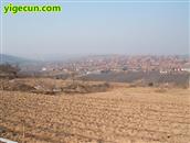 山东省,烟台市,招远市,金岭镇,古宅村