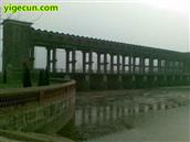 河南省,周口市,沈丘县,老城镇,李坟村