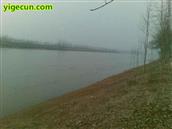 河南省,周口市,沈丘县,老城镇,李坟村