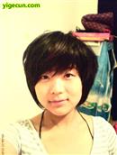 河南省,周口市,沈丘县,老城镇,李坟村