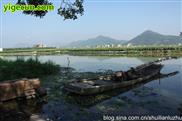 福建省,漳州市,龙海区,东园镇,埭尾村